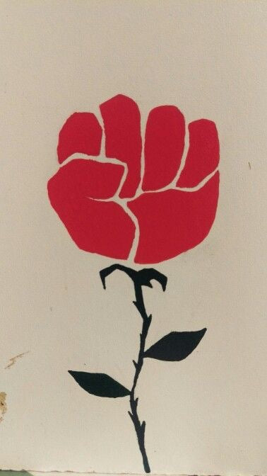 Rose Through Concrete