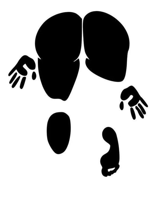 Body